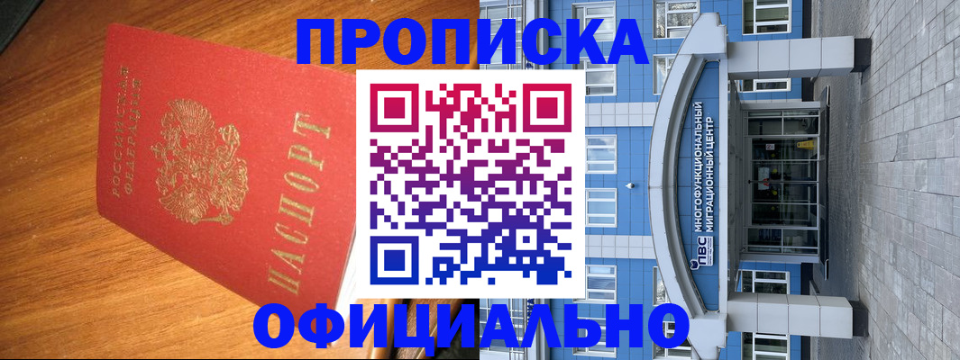 временная регистрация для школы в Волоколамске